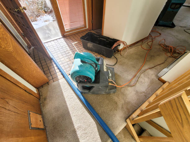 Best Wood Floor Water Damage Restoration in Phoenix Lake, CA